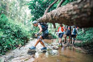 BIB: 
                            <button type="button" onclick="openModal(25372360)" class="btn btn-primary btn-sm float-right btn-popup" data-toggle="modal" data-target=".modal-high-quality">
                        <i class="fas fa-shopping-cart"></i> Add to Cart
                    </button>
                                            <button type="button" onclick="isThisMe(25372360, true)" class="btn btn-success btn-sm float-right btn-popup btn-isme hidden" data-toggle="tooltip" data-placement="bottom" title="นี่คือรูปของคุณใช่ไหม คลิกที่นี่เพื่อเอาเข้าอัลบั้ม">
                        <i class="fas fa-plus"></i> Add to album
                    </button>
                    <button type="button" onclick="isThisMe(25372360, false)" class="btn btn-warning btn-sm float-right btn-popup btn-isnotme hidden">
                        <i class="fas fa-ban"></i> Remove from album
                    </button>